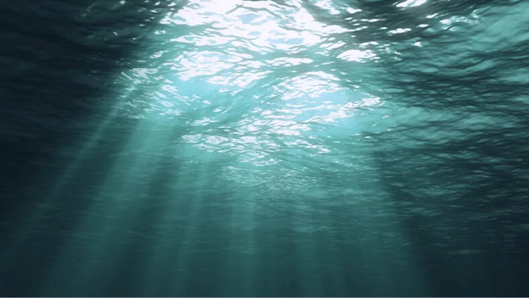 heilpraktiker-homoeopathie